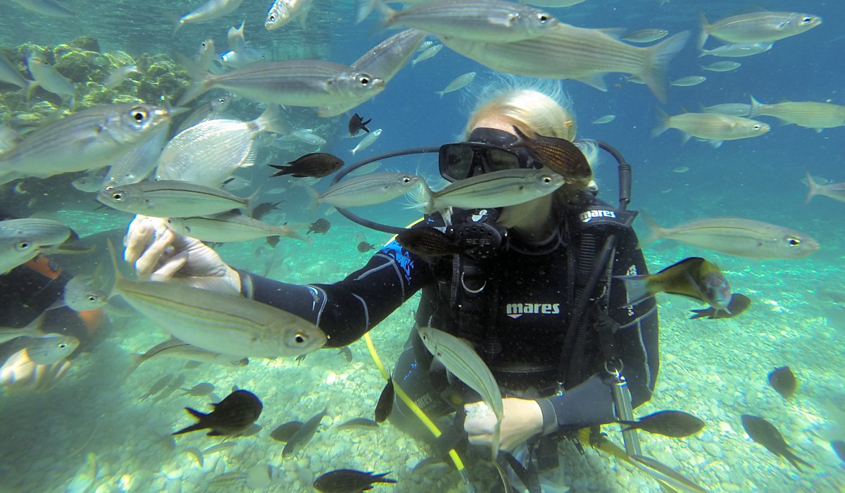 Bodrum Scuba Diving