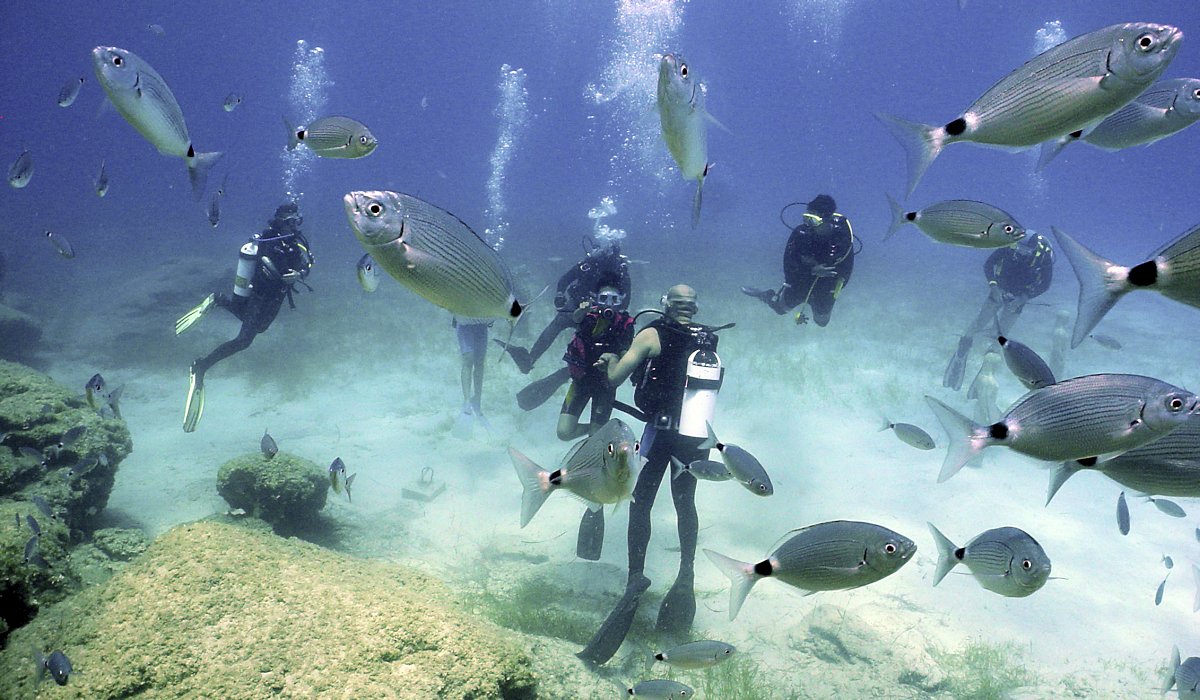 Kusadasi Scuba Diving