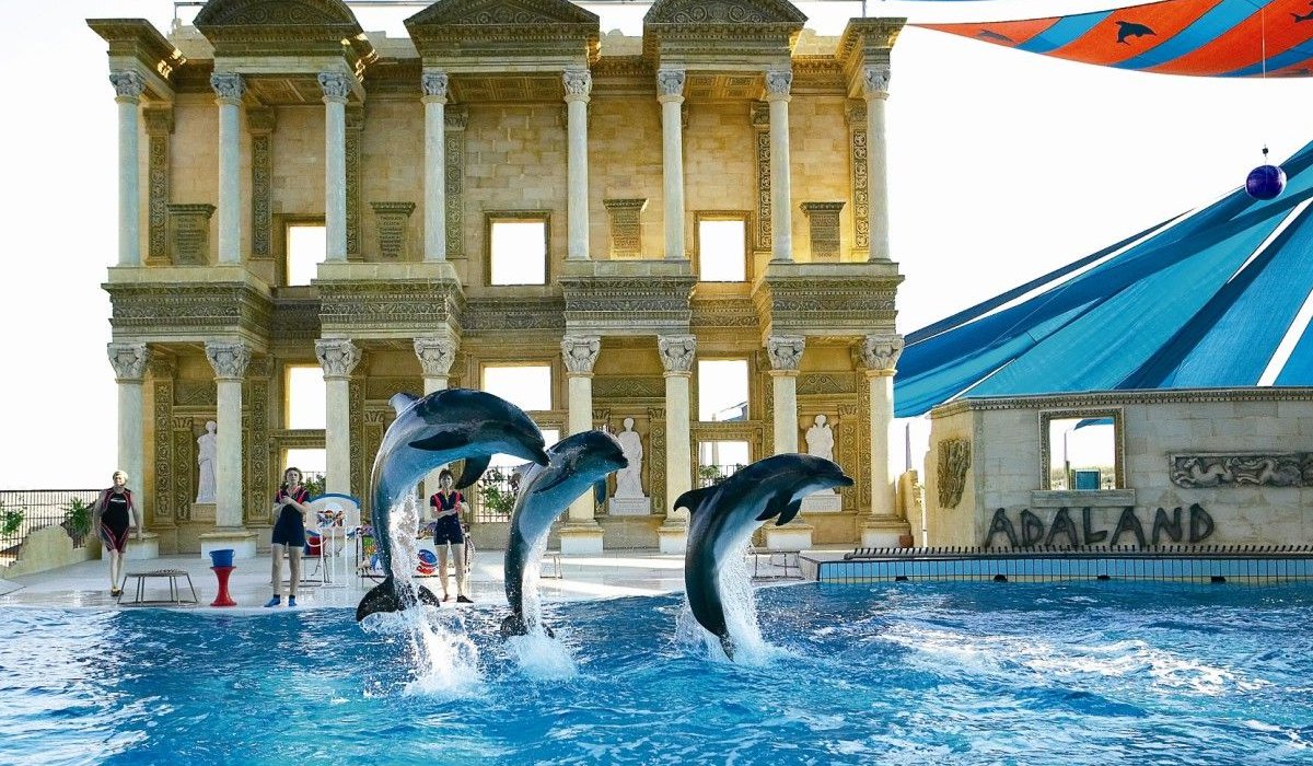 Kusadasi Dolphin and Seal Shows